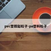 pvc塑胶赵粒子-pa塑料粒子